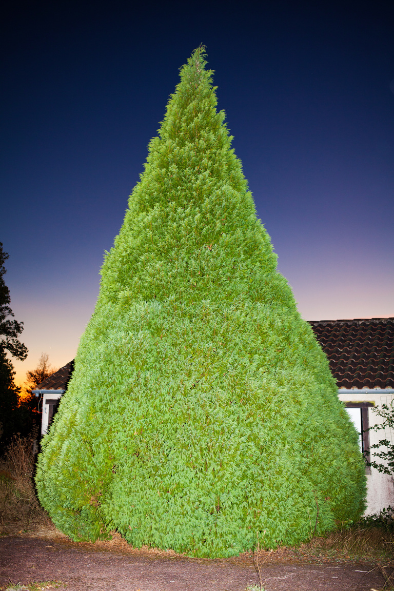 main_title - Courbefy for Neon