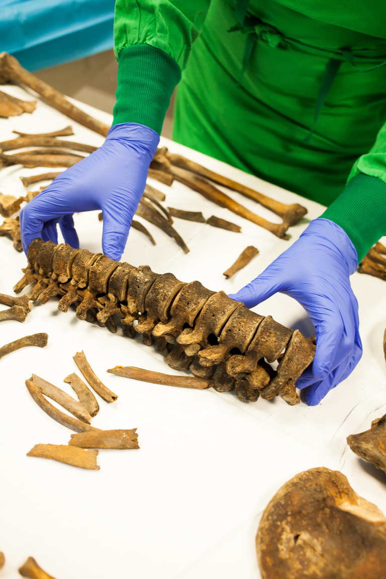 main_title - Reportage Verdun for Libération