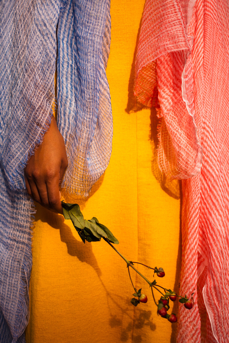 main_title - Traits collection Été