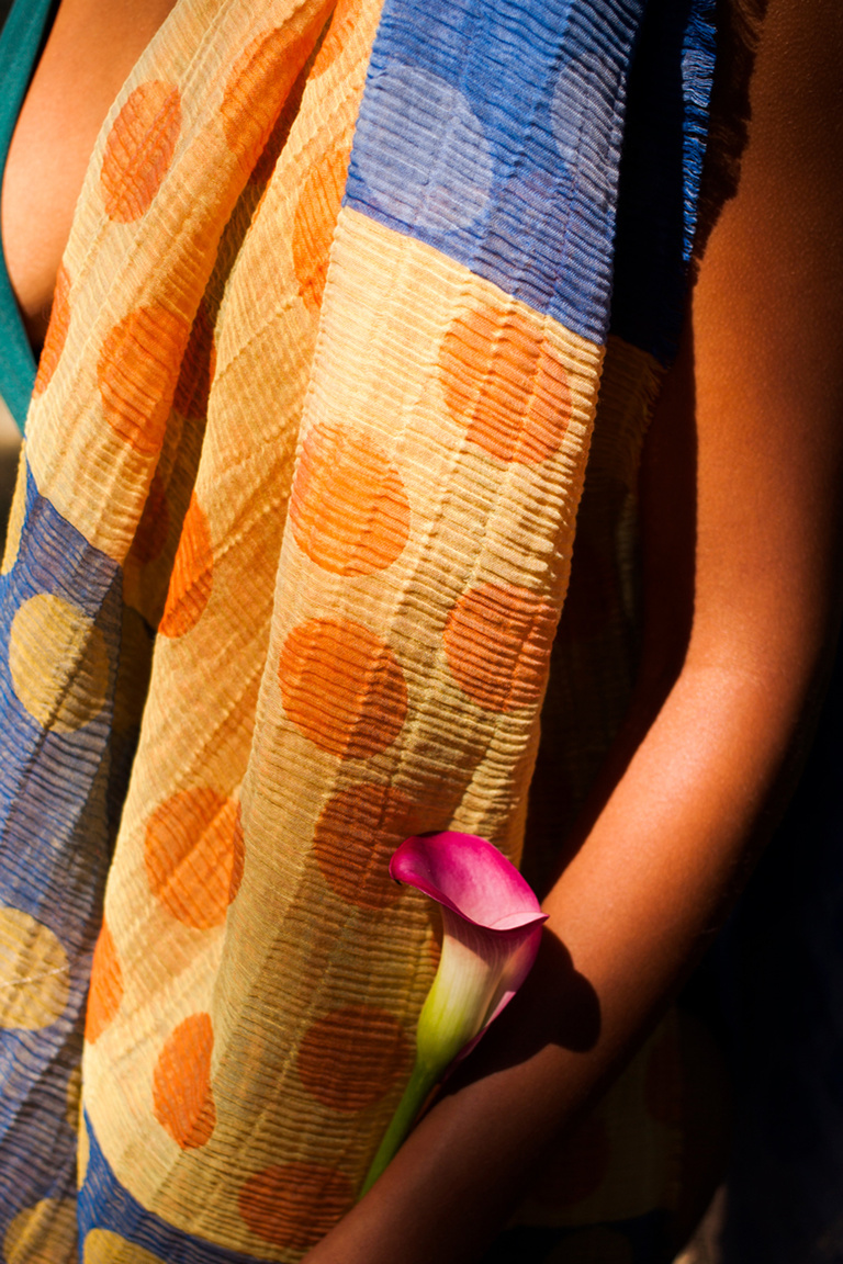 main_title - Traits collection Été