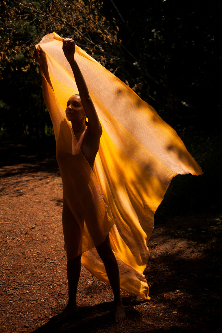 main_title - Traits collection Été