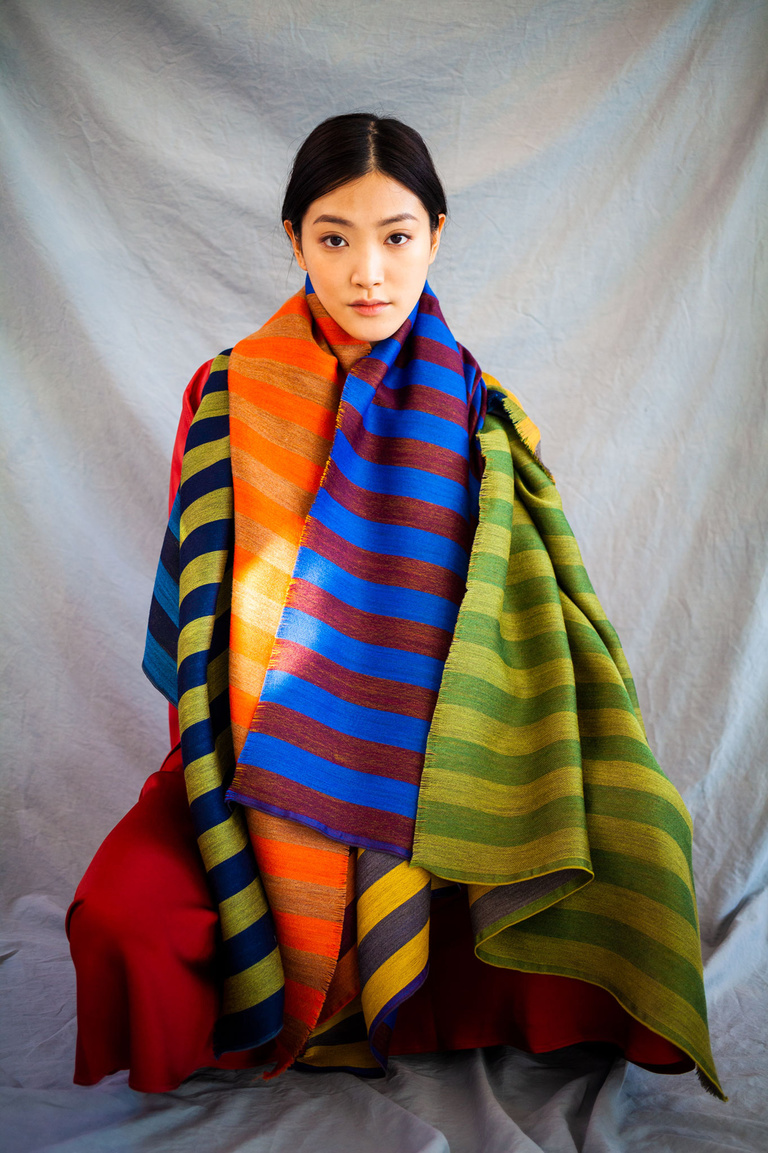 main_title - Traits collection Hiver