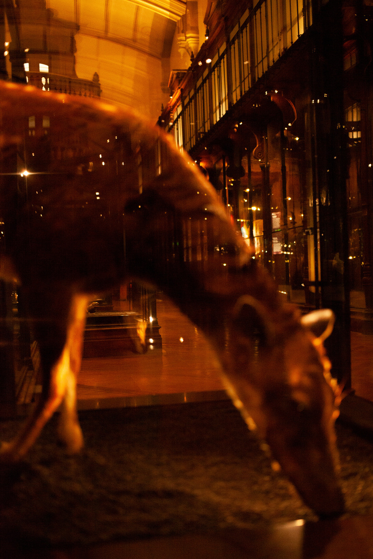 main_title - Galerie de l'evolution for Socialter