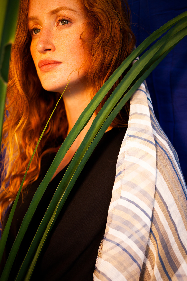 main_title - Traits collection Été