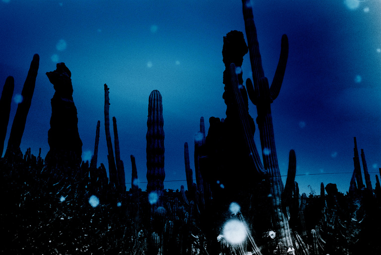 Marguerite Bornhauser - Mirage-MargueriteBornhauser-6.jpg