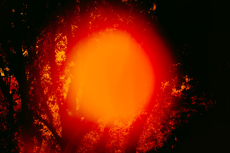 Marguerite Bornhauser - 2025-Lemiracledusoleil_01.jpg