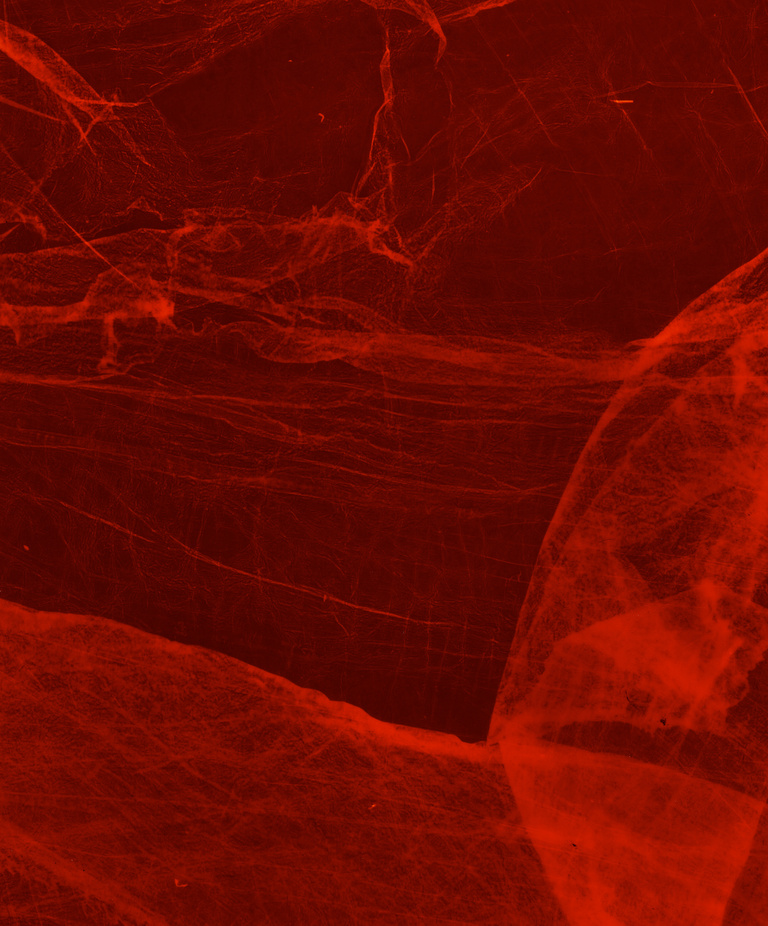 Marguerite Bornhauser - Photogrammes-09-web.jpg