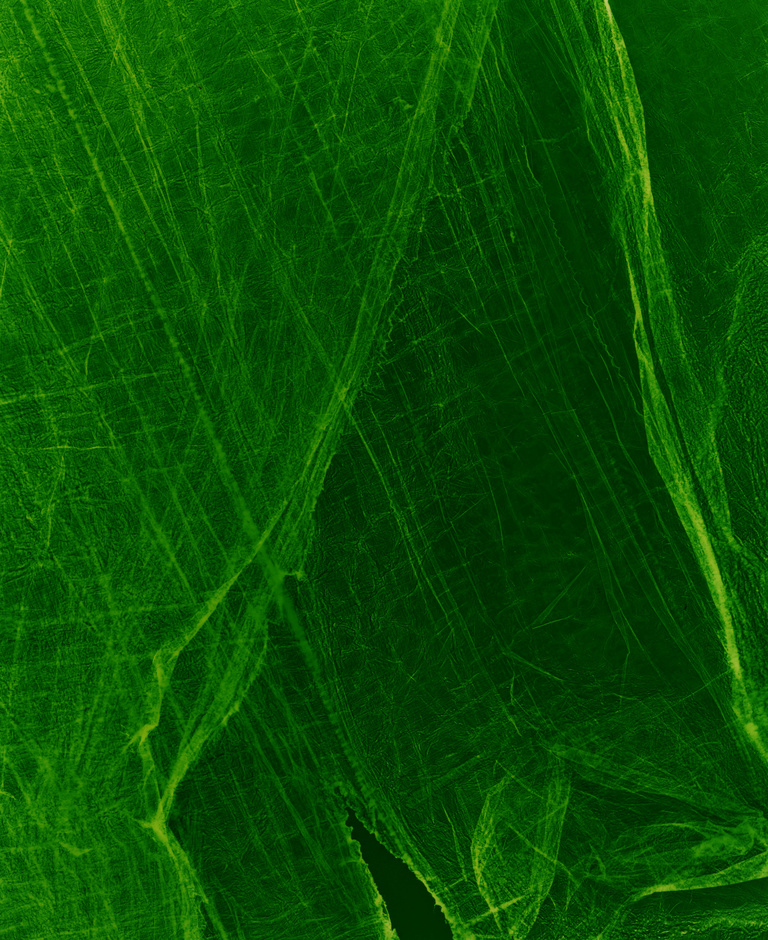 Marguerite Bornhauser - Photogrammes-11-web.jpg