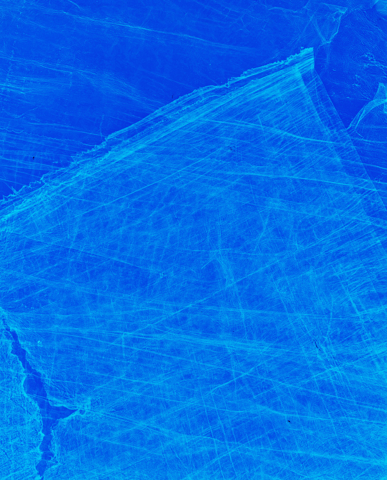 Marguerite Bornhauser - Photogrammes-15-web.jpg