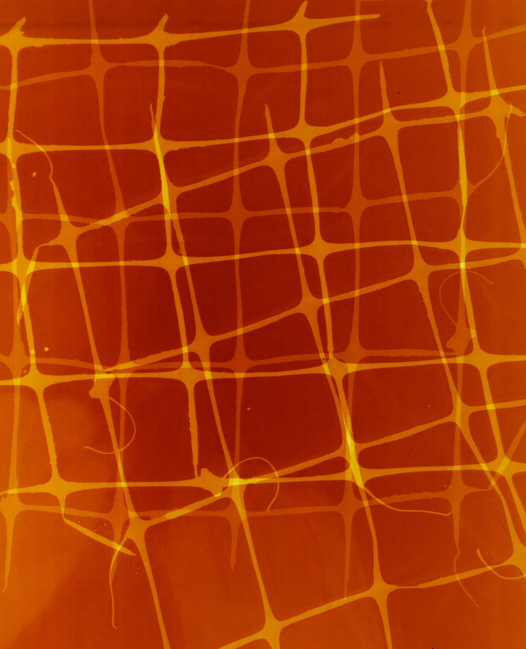 Marguerite Bornhauser - Photogrammes-17-web.jpg