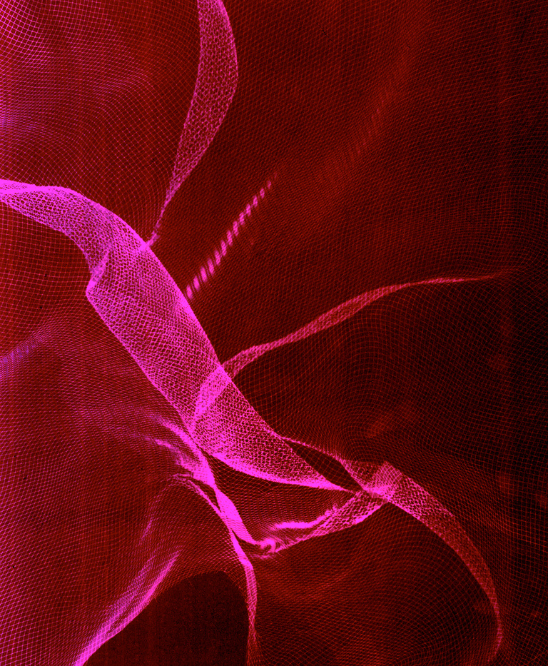 Marguerite Bornhauser - Photogrammes-22-web.jpg