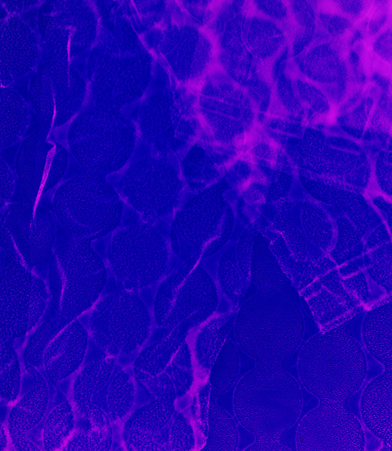 Marguerite Bornhauser - Photogrammes-32-web.jpg