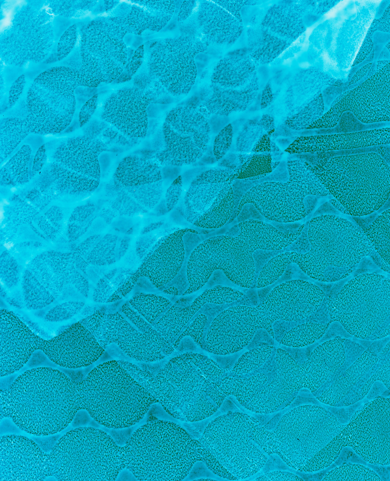 Marguerite Bornhauser - Photogrammes-34-web.jpg