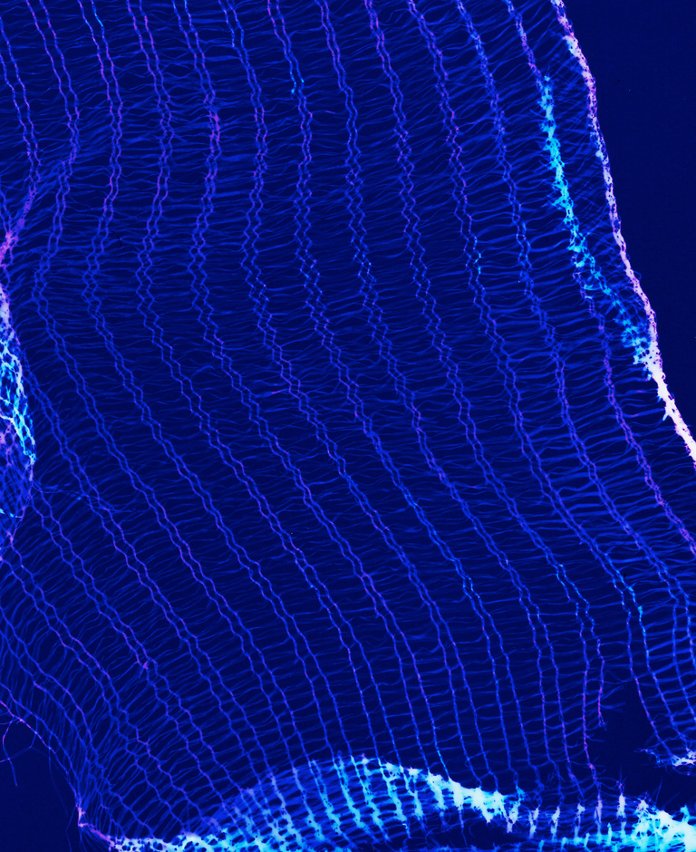 Marguerite Bornhauser - Photogrammes-35-web.jpg