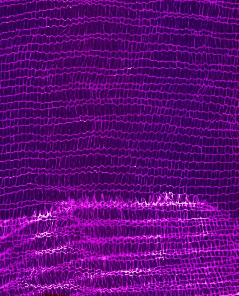 Marguerite Bornhauser - Photogrammes-36-web.jpg