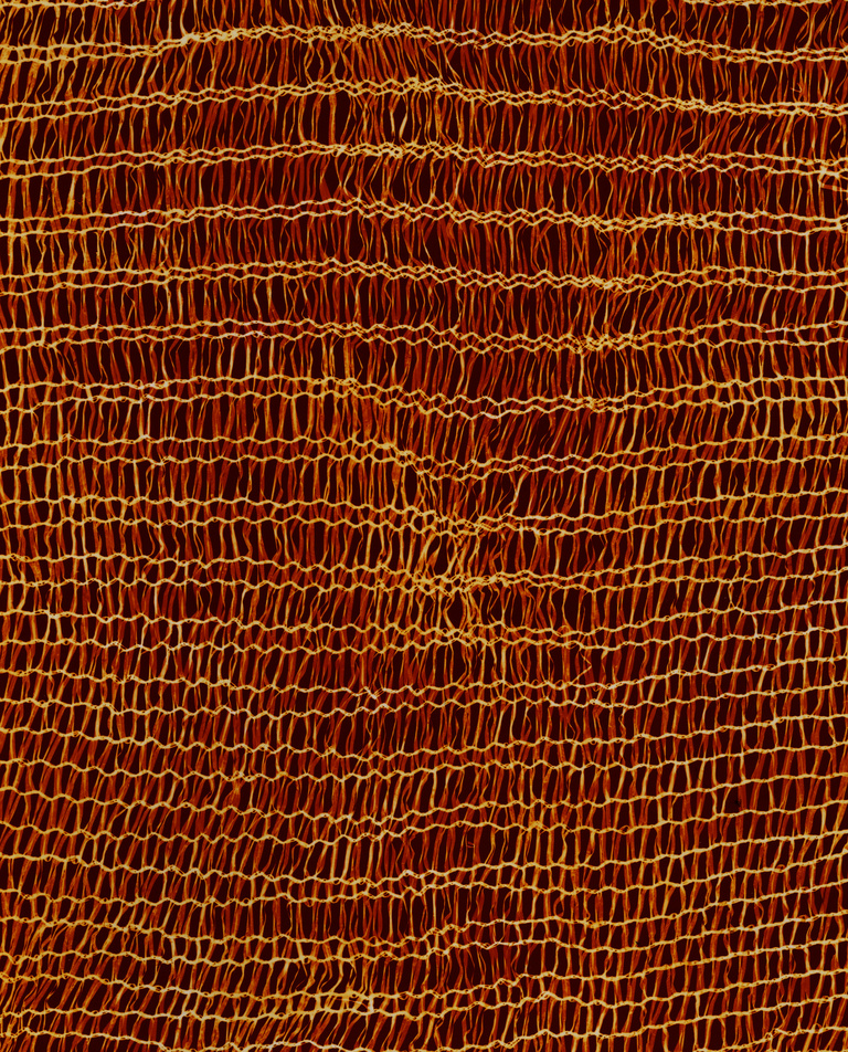 Marguerite Bornhauser - Photogrammes-37-web.jpg