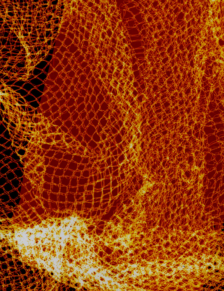 Marguerite Bornhauser - Photogrammes-38-web.jpg