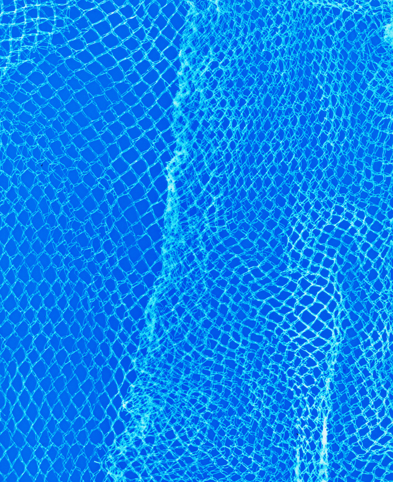 Marguerite Bornhauser - Photogrammes-39-web.jpg