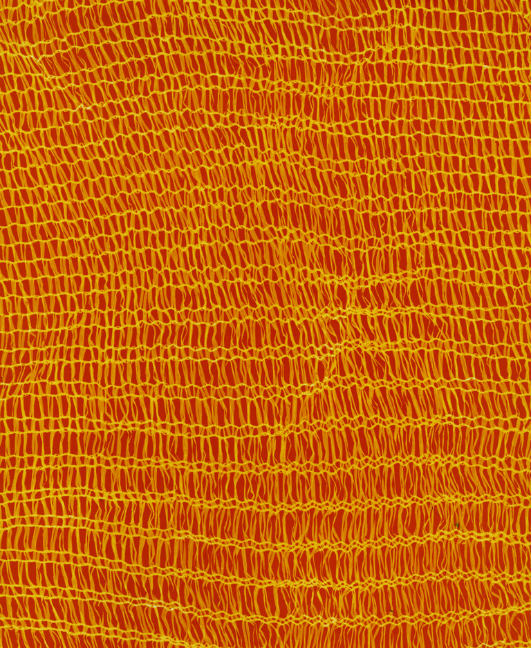 Marguerite Bornhauser - Photogrammes-41-web.jpg