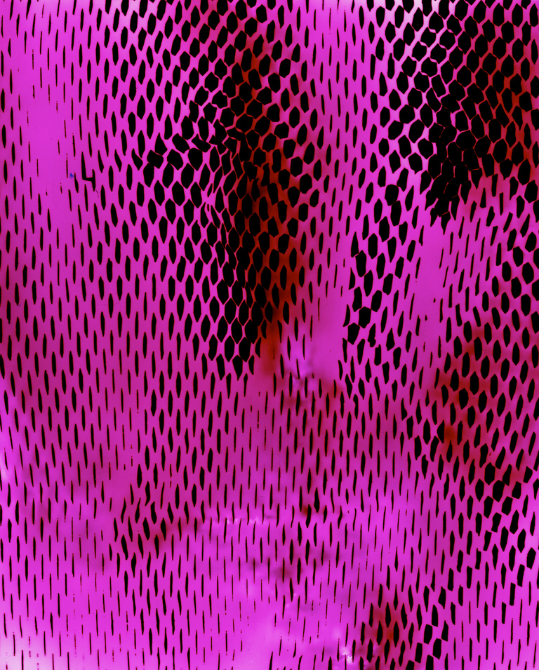 Marguerite Bornhauser - Photogrammes-46-web.jpg