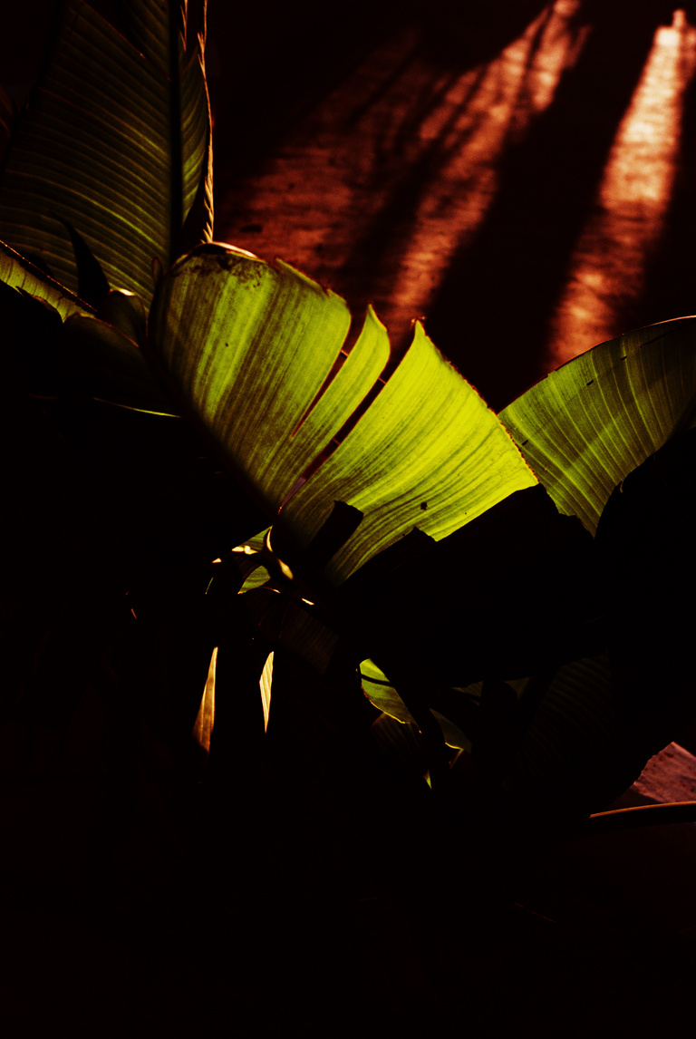 Marguerite Bornhauser - Mirage-MargueriteBornhauser-21.jpg