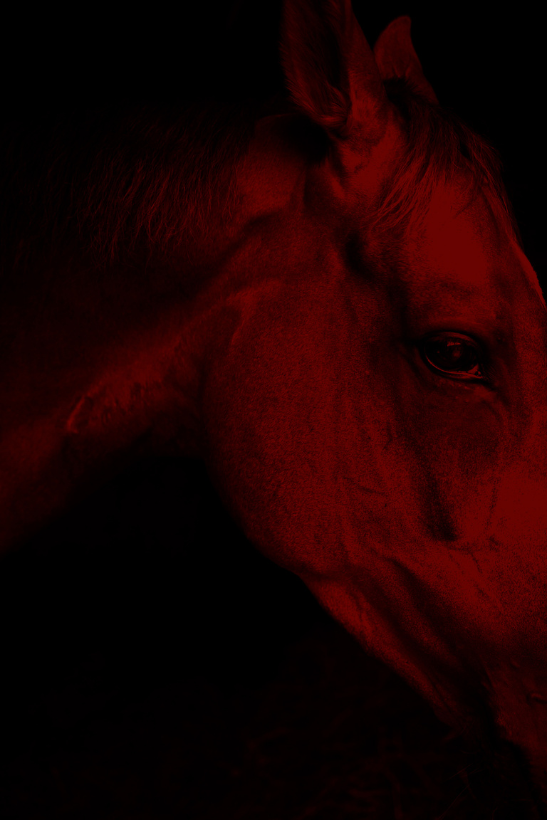 Marguerite Bornhauser - Mirage-MargueriteBornhauser-27.jpg