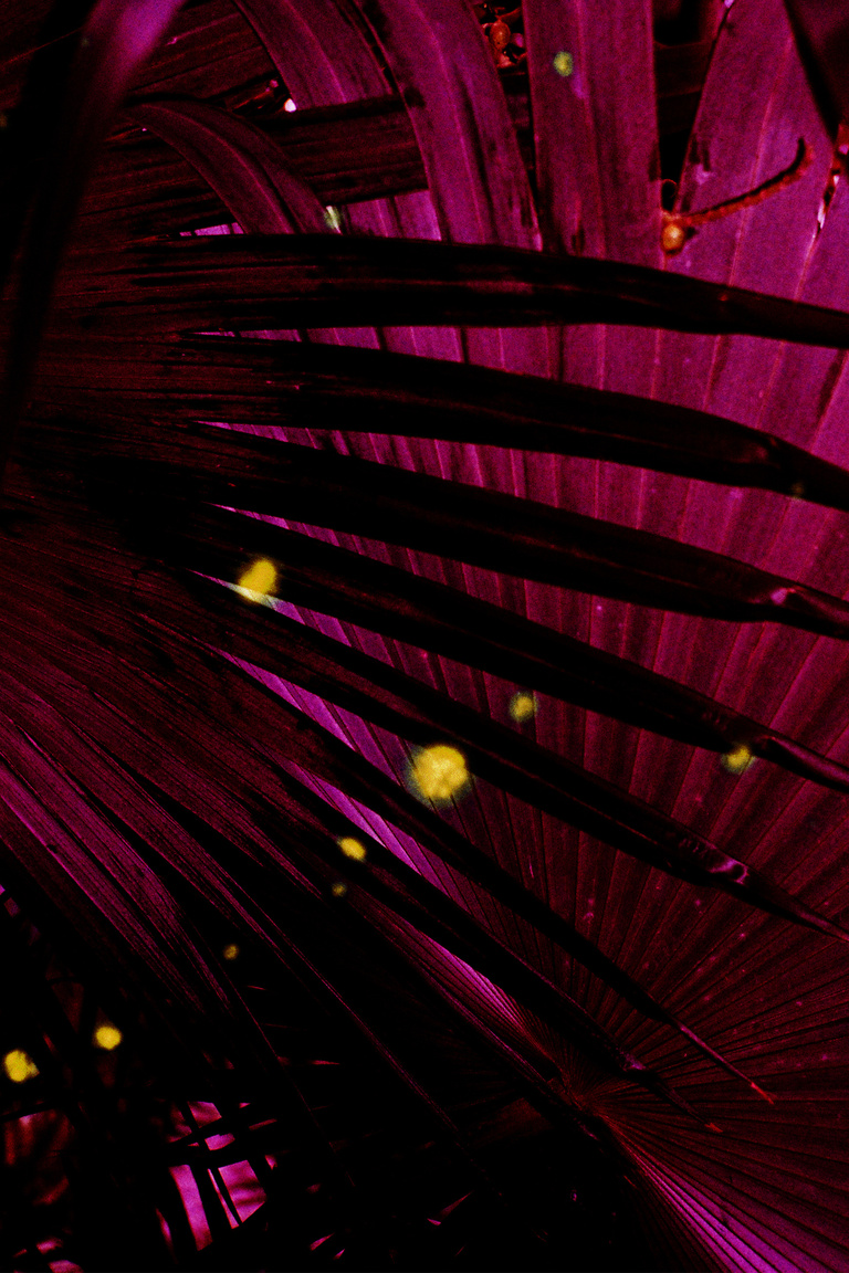 Marguerite Bornhauser - Mirage-MargueriteBornhauser-28.jpg