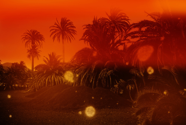 Marguerite Bornhauser - Mirage-MargueriteBornhauser-32.jpg