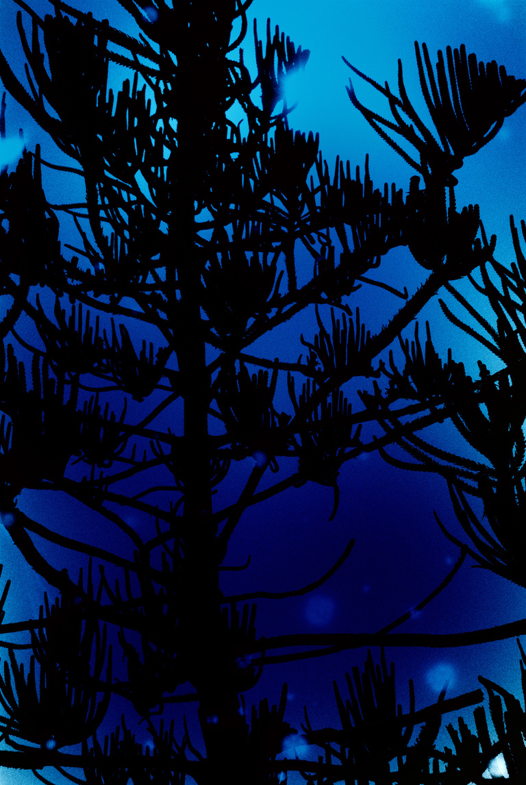 Marguerite Bornhauser - Mirage-MargueriteBornhauser-33.jpg