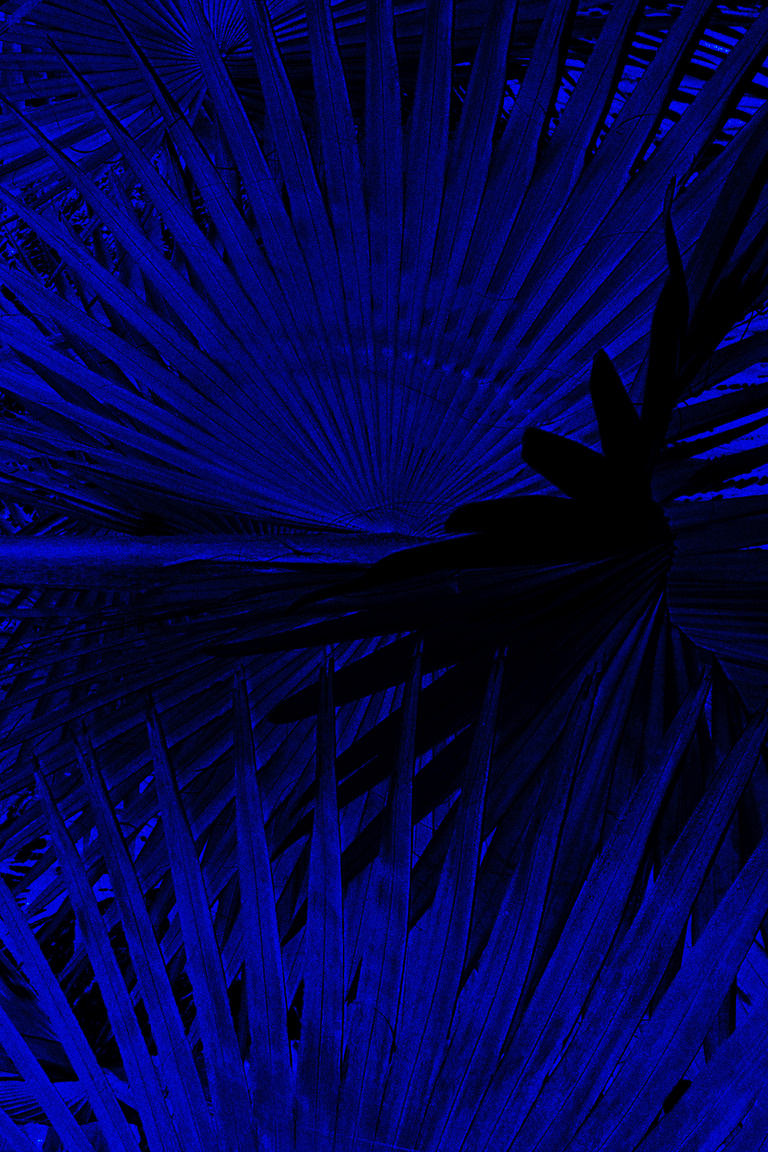 Marguerite Bornhauser - Mirage-MargueriteBornhauser-40.jpg