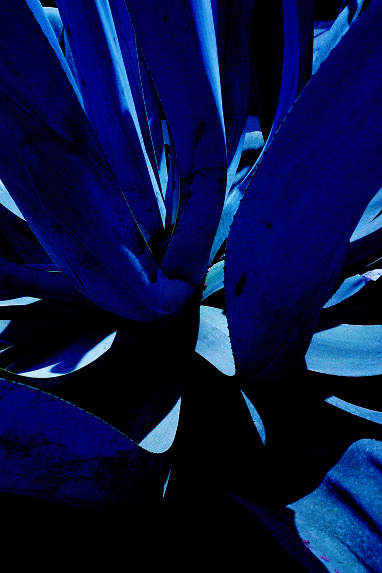 Marguerite Bornhauser - Mirage-MargueriteBornhauser-42.jpg