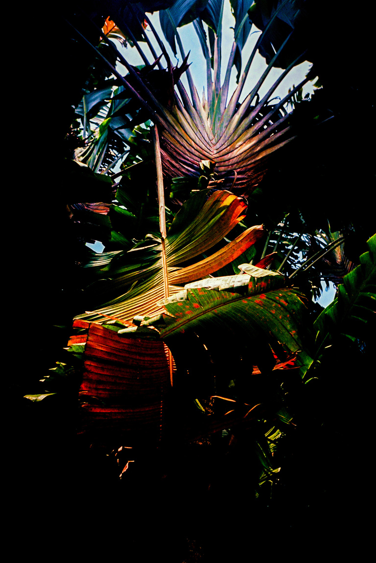 Marguerite Bornhauser - Mirage-MargueriteBornhauser-43.jpg