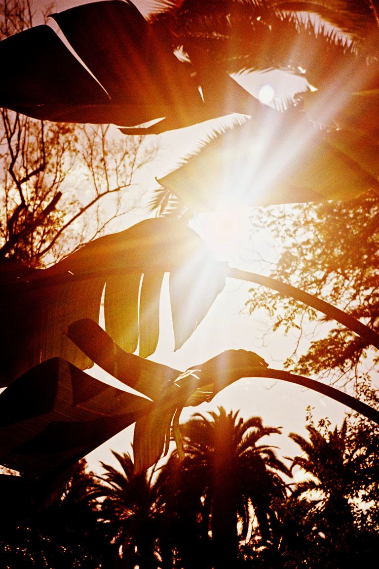 Marguerite Bornhauser - Mirage-MargueriteBornhauser-44.jpg