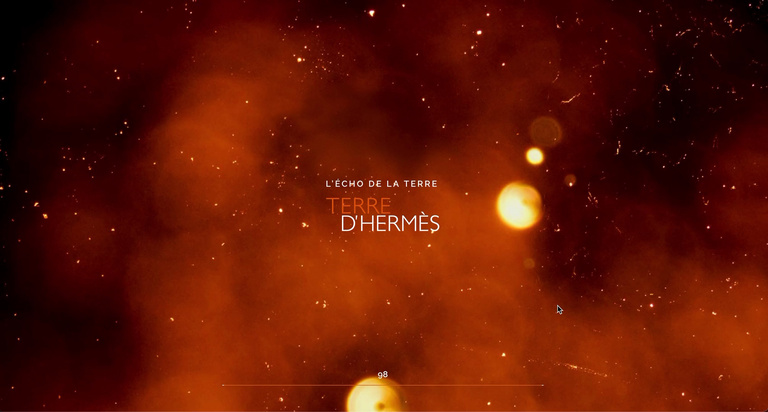 Marguerite Bornhauser - terre-d'hermes.png