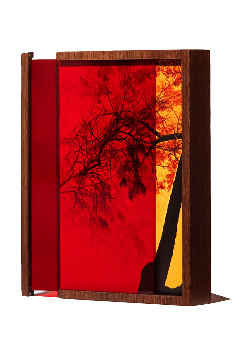 Marguerite Bornhauser - IMG_7689-copie.jpg