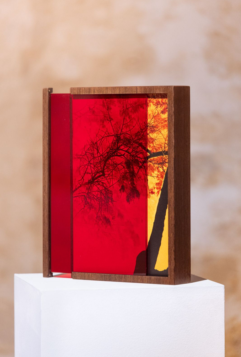 Marguerite Bornhauser - IMG_7689.jpg