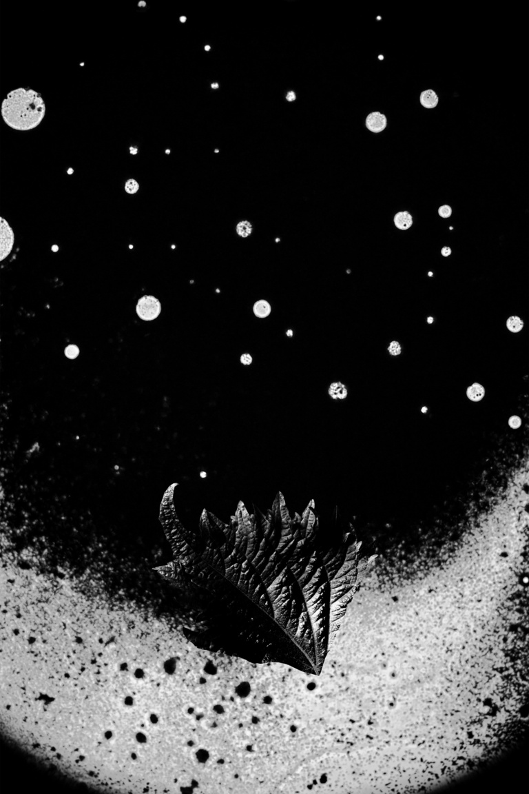 Marguerite Bornhauser - Hermes_EDP_Shiso_RVB_NB_003_Full.jpg