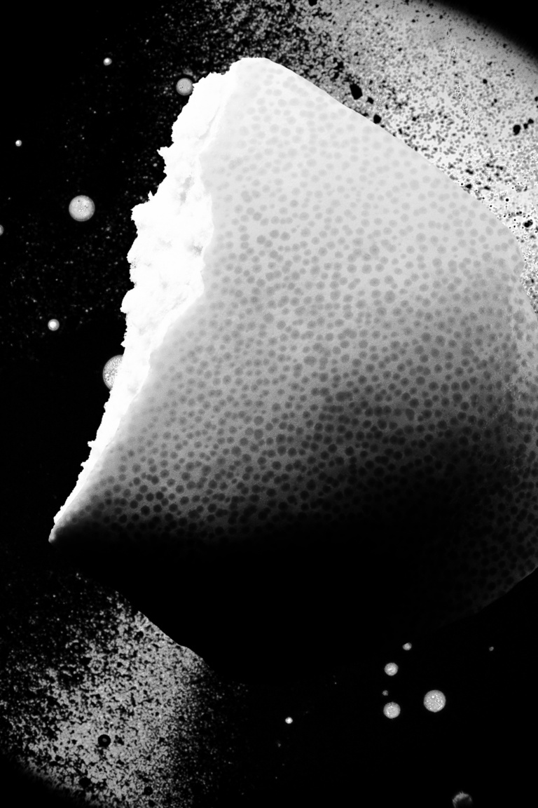 Marguerite Bornhauser - Hermes_EDP_Pamplemousse_RVB_NB_002_Full.jpg