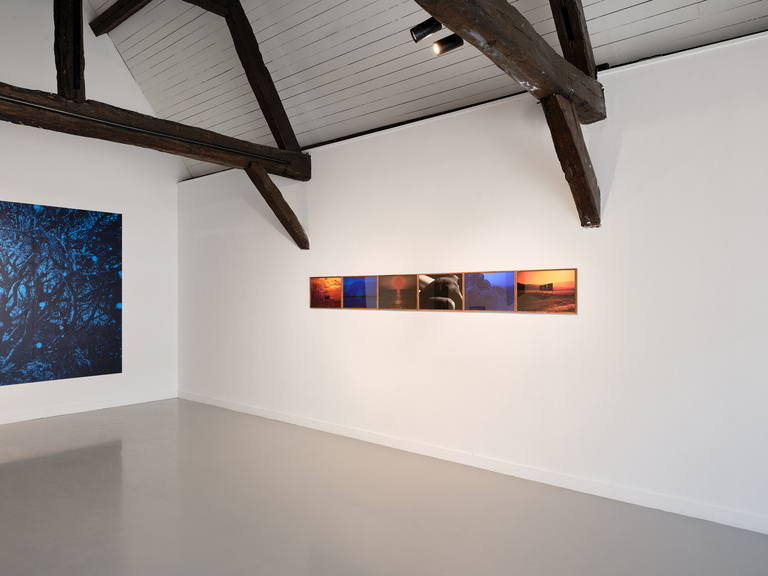 Marguerite Bornhauser - MIRAGE 02 (web).jpg