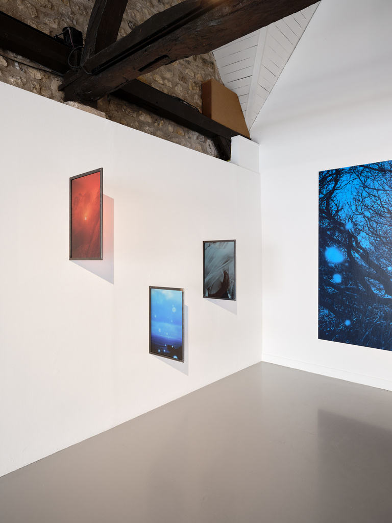 Marguerite Bornhauser - MIRAGE 06 (web).jpg