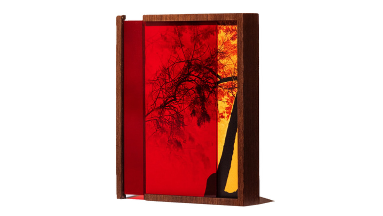 Marguerite Bornhauser - When Black is Burned - coffret